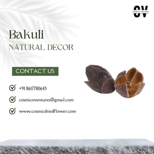 Material Vegetal Seco Natural Ecológico de Alta Calidad, Vaina de Bakuli, Graduación, Halloween, Día del Padre, Día de la Madre, Fiesta de Pascua - Product Image 3