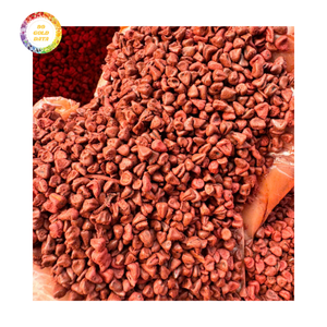 Graines d'annatto, épice achiote, qualité supérieure à bas prix, saveur stable pour les importateurs en gros - Product Image 3