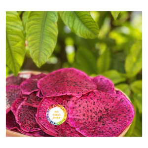 PROVEEDOR DE REBANADAS DE FRUTAS DE DRAGÓN SUAVES SECOS DE VIETNAM SABOR DULCE NATURAL PRODUCTO DE BUENA CALIDAD PRECIO COMPETITIVO - Product Image 5