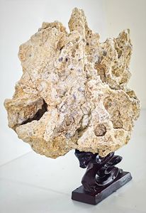 หินลมพายุดันหวงหยก (สีธรรมชาติและรูปแบบ) - Product Image 6