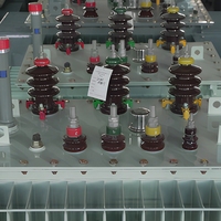 Transformateur immergé dans l'huile S22 à faible perte, neutre en carbone, 10 kV/0,4 kV, en cuivre pur, sur mesure pour projet de stockage d'énergie photovoltaïque