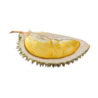 Vers D111 Durian Vers Fruit Bij Voorkeur Voor Veel Durian-Liefhebbers En Kinderen Uit Vietnam Groothandel Premium Hoogwaardig Heerlijk