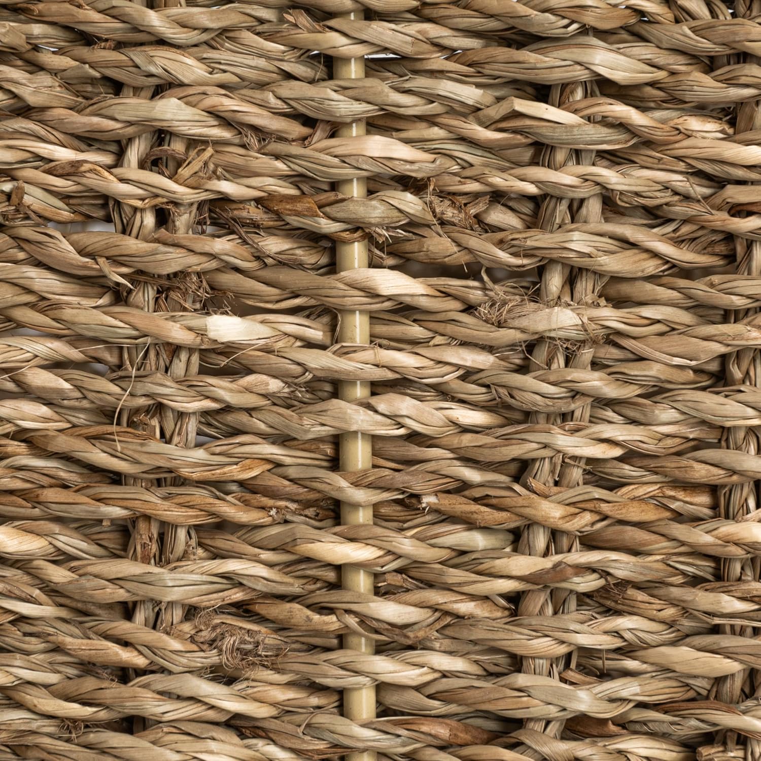 ธรรมชาติ