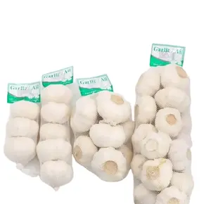 新鲜普通白蒜500克网袋批发新作物大蒜形式中国白蒜散装出售