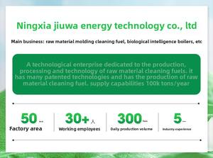 آلات ضغط كريات الكتلة الحيوية الجاهزة العالمية 1-10 طن/ساعة ، شكل فحم حجري للبيع - Product Image 6