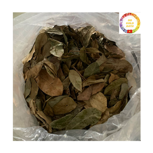 Ingrédient de thé aux herbes naturelles, feuilles de corossol séchées, vente en gros au Vietnam - Product Image 3