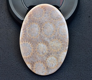 Meilleure qualité!!, Grade supérieure Cabochon de corail en pierre précieuse de fossile de corail, ample pour bague, bijoux en argent - Product Image 4