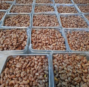 เม็ดมะม่วงหิมพานต์ธรรมชาติ 100% คุณภาพสูงพร้อมเกลือ W240 ย่างในเวียดนามโรงงานขายส่งโดยตรงในราคาที่สมเหตุสมผล - Product Image 4