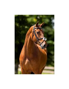 Rackle reduction Ridle areareham reducción de peso ORSE riridle - Product Image 5