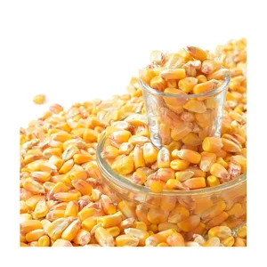 Grosses perles de maïs pour animaux, meilleur prix pour la vente en gros, maïs jaune de haute qualité, maïs jaune/maïs pour aliments pour animaux de l'inde