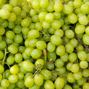 Uvas Frescas Sunshine Rose Sin Semillas, de Mesa, de Alta Calidad, Blancas y Verdes, Dulces y Sin Semillas, al por Mayor - Product Image 4