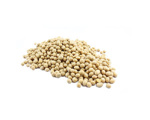 Harina de Soja Seca Orgánica de Alta Calidad Proteica, Sin OMG, 25 kg para Alimentación Animal - Product Image 1