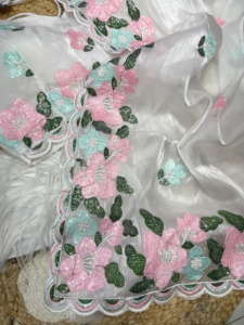 Nouvelle élégance Dressing tendance tenue pur doux Zimmy Choo soie Saree Blouse Multi couleur séquence broderie travail à vendre - Product Image 6