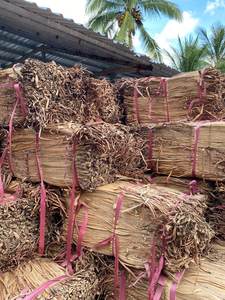 Matériau de jacinthe d'eau séchée standard à l'exportation pour le tissage et l'artisanat traditionnels - Product Image 2