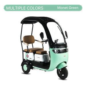 รถสามล้อไฟฟ้าสำหรับพักผ่อนพร้อมแบตเตอรี่กำลังสูง, รถสามล้อไฟฟ้าสำหรับผู้ปกครองและผู้ใหญ่พร้อมหลังคา - Product Image 6