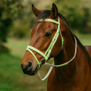 Ensemble complet de rênes pour chevaux à longueur réglable, bride en PVC avec bouche creuse en acier inoxydable, corde à mâcher en cuir PP, matériau en nylon - Product Image 2