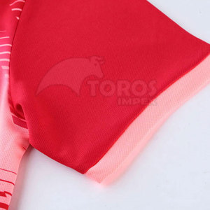 Top Selling Soccer Uniform OEM Service Low MOQ Quick Dry Soccer Uniform Best Selling Personalized Logo Team Wear Soccer Uniform - Product Image 6