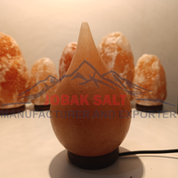 Lampe de table en sel de l'Himalaya sculptée à la main, style Feng Shui, purificateur d'air, qualité supérieure, vente chaude, JOBAK JS-CL-101