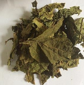 สารสกัดจากใบชาสมุนไพรธรรมชาติสำหรับการดีท็อกซ์เพื่อสุขภาพการสนับสนุนภูมิคุ้มกันและการเยียวยาแบบดั้งเดิม - Product Image 4