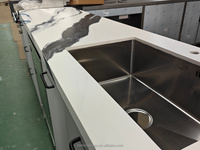 Ensemble d'armoires de cuisine extérieures étanches en acier inoxydable 304 avec charnières, réfrigérateur, évier, robinet, porte vitrée, design moderne pour appartement