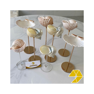 Verre à vin en coquillage durable, fabriqué pour boire, coquillage naturel solide, verre à vin en coquillage pour l'exportation vers les restaurants, les bars et les maisons - Product Image 2