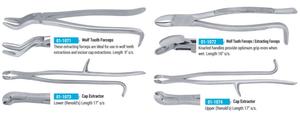 Pince d'extraction de capuchon Reynolds Longueur supérieure 17 "Instruments dentaires équins MAHERSI - Product Image 5