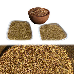 Trébol Berseem | Seguro y digerible para todos los animales - Product Image 5