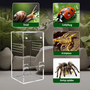 Exportador Directo: Hábitat Apilable de Acrílico para Tarántulas, Empaque Plano, Entrega Rápida, Stock Disponible, Envío en 14 Días, Recinto de Acrílico - Product Image 2