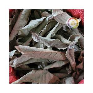 ใบฝรั่งแห้งสำหรับชาเพื่อสุขภาพเป็นกลุ่มแหล่งกำเนิดจากเวียดนาม - Product Image 3