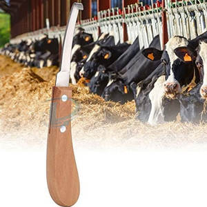 มีสินค้าในสต็อก MOQ ต่ำ มีดตัดกีบม้า วัสดุทนทาน ด้ามไม้ มีดตัดกีบม้า คุณภาพพรีเมียม - Product Image 3