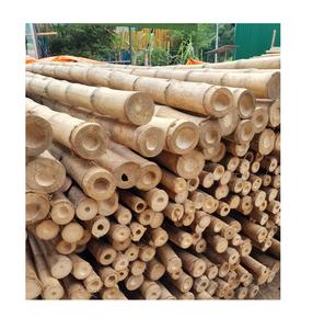 ผลิตทั้งขายเสาไม้ไผ่ธรรมชาติขนาดปรับแต่งการเกษตรคุณภาพดีที่สุดจากเวียดนามด้วยราคาที่ดีที่สุด - Product Image 6