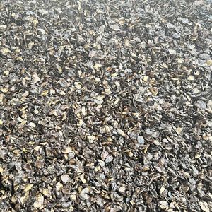 Coquille de noix de cajou pour l'industrie énergétique, combustible, déchets agricoles après extraction des résidus d'huile de noix de cajou du Vietnam - Product Image 6