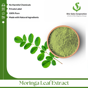 Polvo de extracto de Moringa de calidad de exportación para compradores internacionales en la industria alimentaria, sector de bebidas y fabricación de cosméticos - Product Image 2