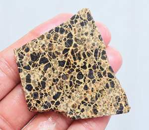 Orbicular Rough <b>Slice</b> - Product Image 2
