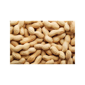 Cacahuètes crues en coque à vendre Cacahuètes à noyau séché Arachides crues/rouges fraîches à vendre - Product Image 4