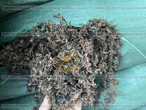 Alga Marina Sargassum Seca de Alta Calidad/Alga Marina Deshidratada para Venta al por Mayor desde Vietnam a Precio Económico - Product Image 6