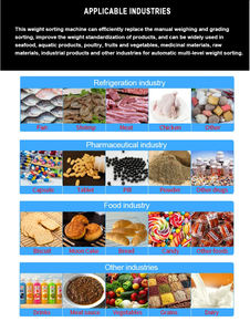 Báscula de Control de Peso de Alta Precisión de Tres Etapas con Precisión de 0.1g, Personalizable OEM, Máquina de Pesaje Automática <span class=keywords><strong>en</strong></span> Línea - Product Image 5