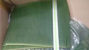 Meilleures ventes de feuilles de bananier vertes congelées, Emballage alimentaire à prix chaud feuille de bananier vert frais feuilles de bananier congelées - Product Image 6