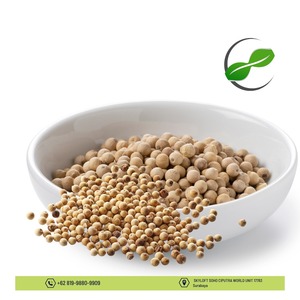 Spice Sulawesi de primera calidad, blanco marfil pálido, 13% humedad, especias asiáticas naturales para cocinar, hierbas secas crudas individuales - Product Image 6