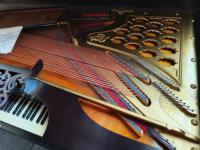 19th Century Antique Steinway Square Piano Pat. 1859 Museum-Grade Ornate Collectible USA Made Museum-Grade Antique