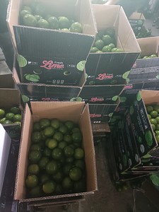 Chất lượng cao chanh tươi bán buôn Nhà cung cấp cung cấp số lượng lớn với giá cả cạnh tranh cho người mua - Product Image 3