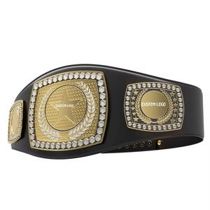 Cinturones de Campeonato Mundial de Boxeo Personalizados Unisex de Flyingkick Enterprises, en Latón/Zinc/Oro de 24k/Cuero/Acero Inoxidable - Product Image 1