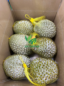 Durian surgelé IQF de haute qualité - VIET THIEN PHU VIET NAM - Prix compétitif - Emballage en vrac - Entiers - Goût sucré et sain - Riche en eau - Product Image 4