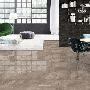 Choisissez l'élégance et la fiabilité avec les carreaux en porcelaine indiens de 600x600 mm, carreaux très demandés pour la décoration des murs et des sols de la maison et du bureau. - Product Image 1