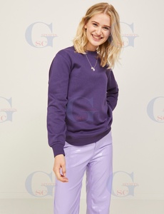 Winter Casual Sweat Shirts <b>Long</b> <b>Sleeves</b> and Crew Neck Style for Women High Quality Soft Cotton Fleece Fabric Sweat Shirts Women - Product Image 3