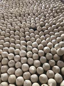 Proveedor de Coco Entero Pulido - Tamaño Uniforme, Apariencia Limpia - Product Image 6