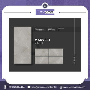 600X1200 mm Natural Glazed Carving Porcelain Tiles Indoor Floor Tiles for Home Decor at Best Price - Product Image 2