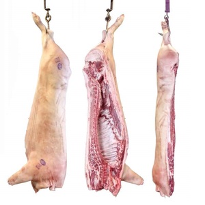 Viande de porc surgelée de qualité supérieure, coupes en 6 parties / carcasses de porc / viande de cochon disponible en gros, stock frais à prix de gros avec livraison rapide - Product Image 5