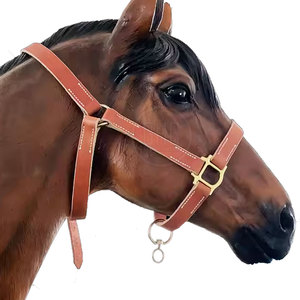 บังเหียนม้าขนาดพอเหมาะ - Product Image 3