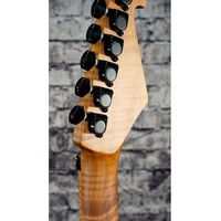 Guitare électrique avec micros SBS Alnico, corps en aulne massif, manche en érable torréfié, tremolo Floyd Rose, Coil Tap, Treble Bleed